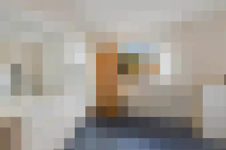 De Omrin 40 Winsum thumbnail 29