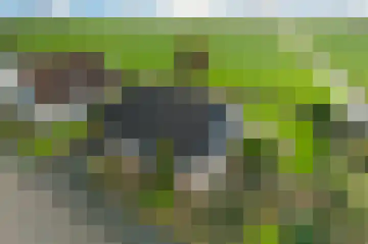 De Omrin 40 Winsum thumbnail 47