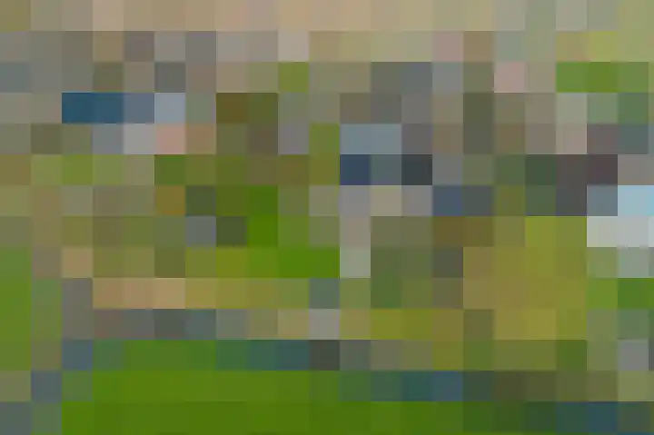 De Omrin 40 Winsum thumbnail 48