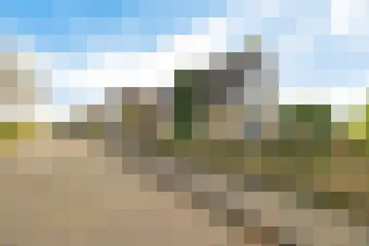 De Omrin 40 Winsum thumbnail 50