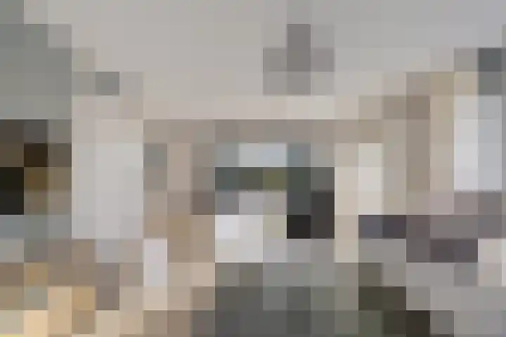 De Omrin 40 Winsum thumbnail 7