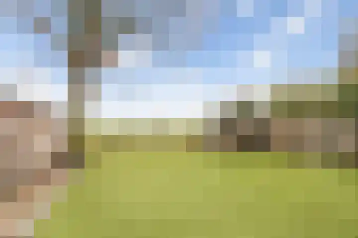 De Onderijen 13 Oosterhout thumbnail 16