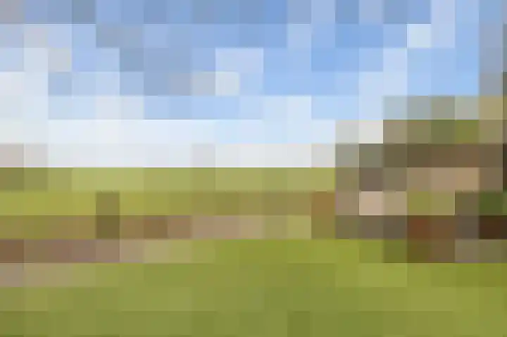De Onderijen 13 Oosterhout thumbnail 17