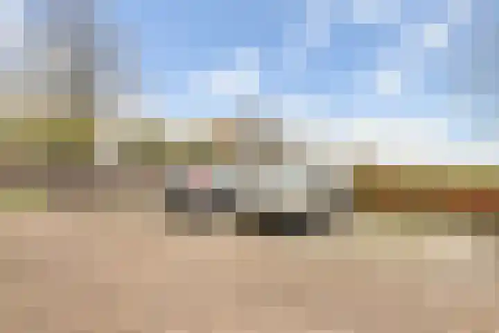 De Onderijen 13 Oosterhout thumbnail 18