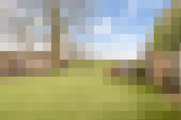 De Onderijen 13 Oosterhout thumbnail 4