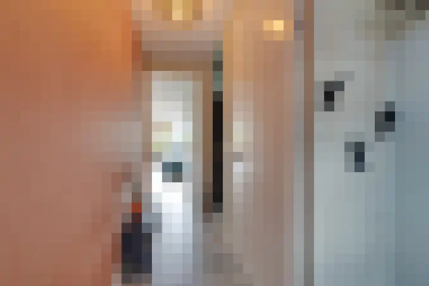 De Onderneming 10 Nibbixwoud thumbnail 12