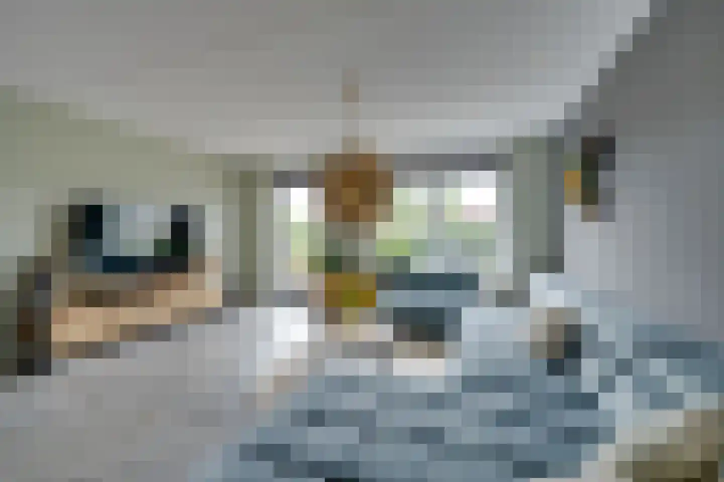 De Onderneming 10 Nibbixwoud thumbnail 14