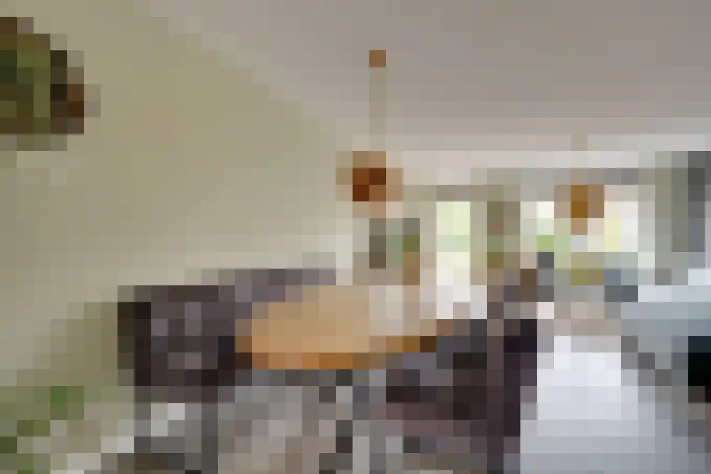 De Onderneming 10 Nibbixwoud thumbnail 23
