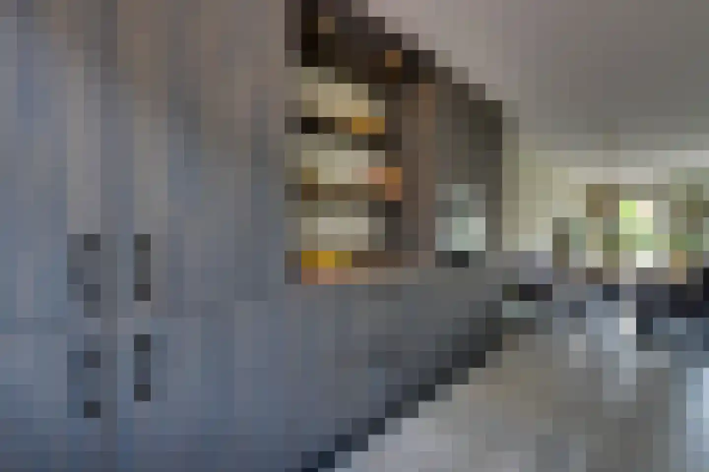 De Onderneming 10 Nibbixwoud thumbnail 27