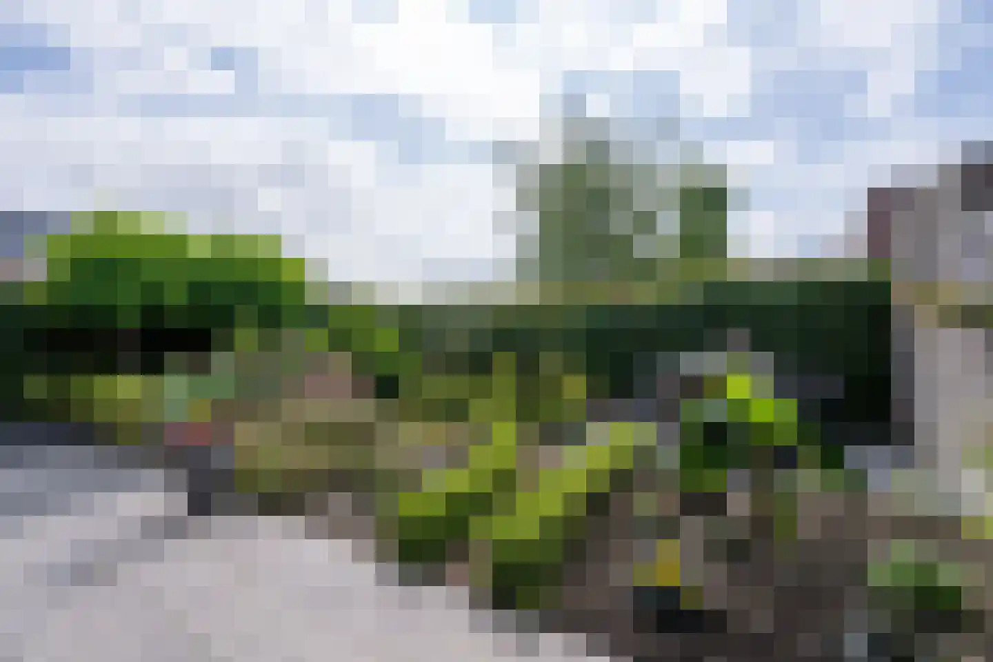 De Onderneming 10 Nibbixwoud thumbnail 28