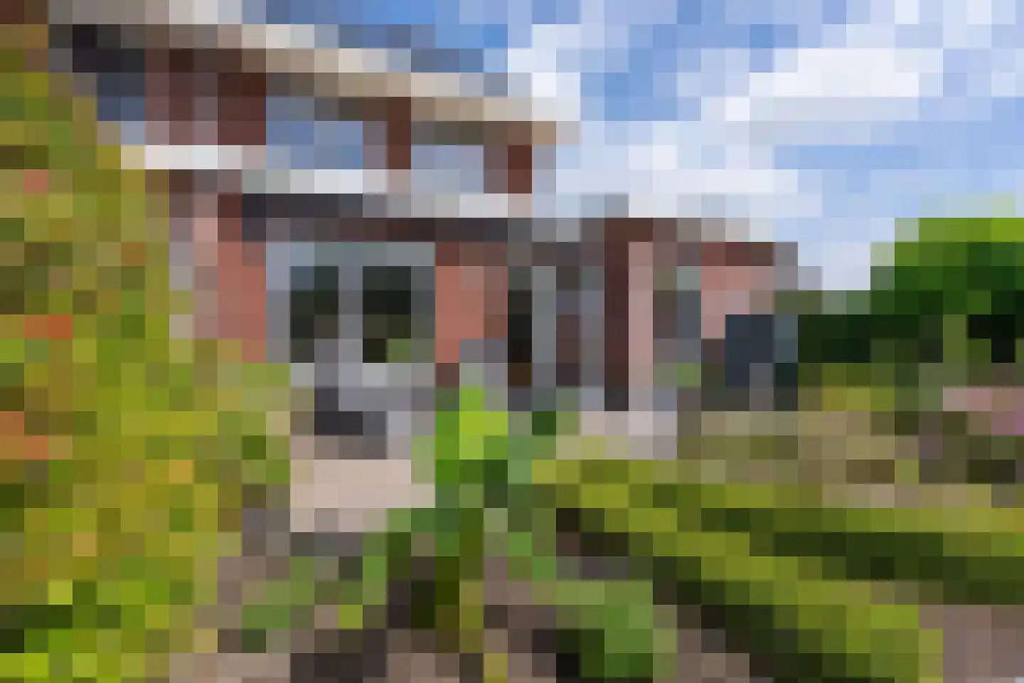 De Onderneming 10 Nibbixwoud thumbnail 29