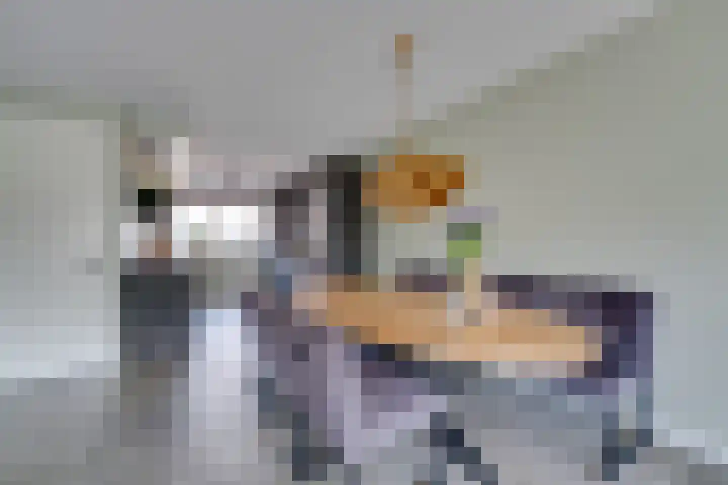De Onderneming 10 Nibbixwoud foto 3