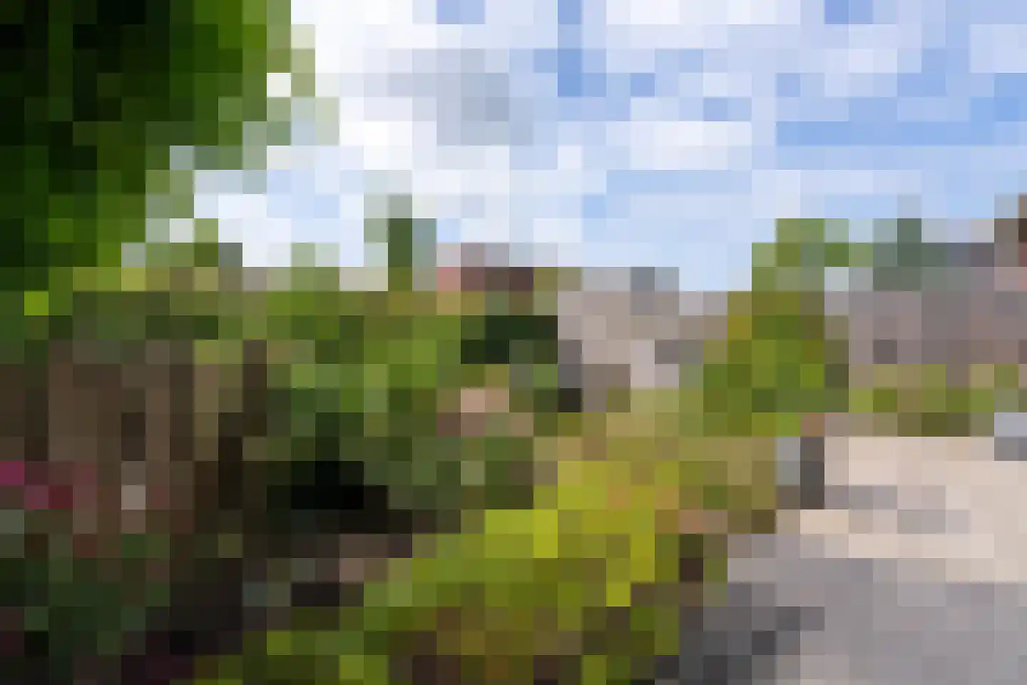 De Onderneming 10 Nibbixwoud thumbnail 30