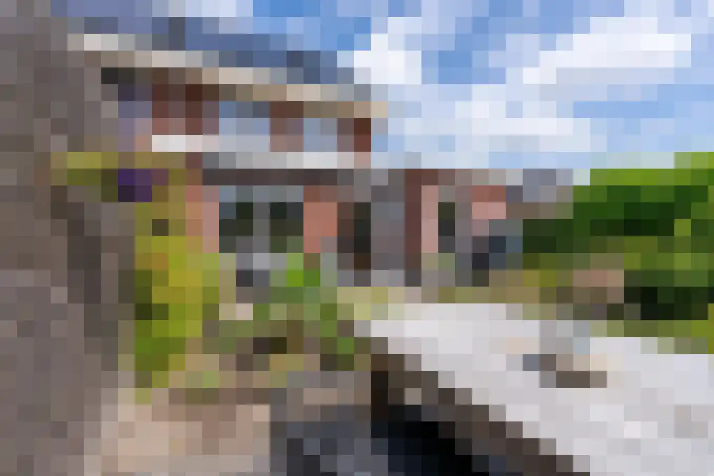 De Onderneming 10 Nibbixwoud thumbnail 31
