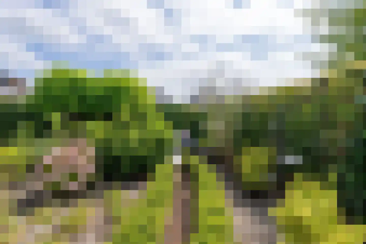 De Onderneming 10 Nibbixwoud thumbnail 32