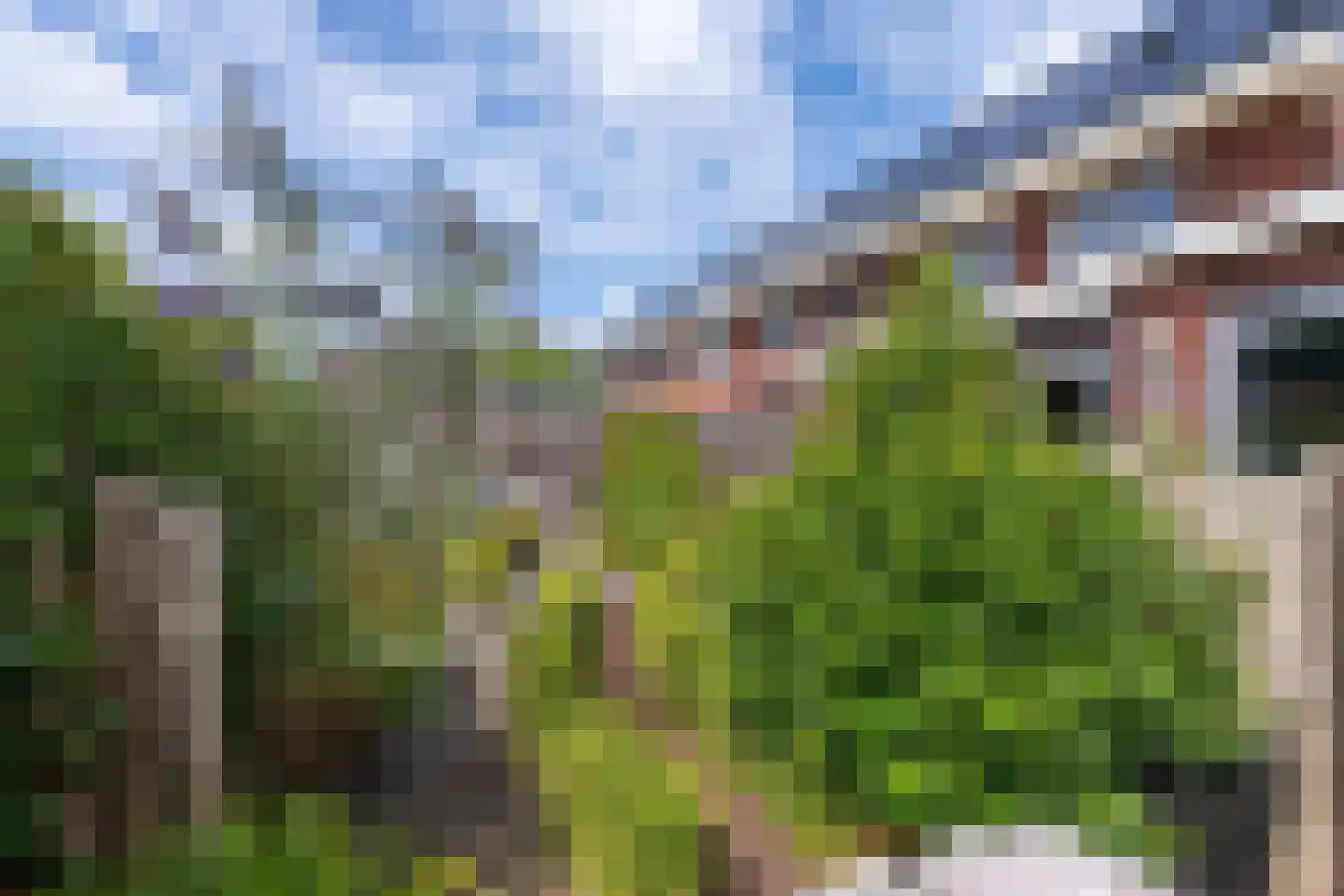 De Onderneming 10 Nibbixwoud thumbnail 34