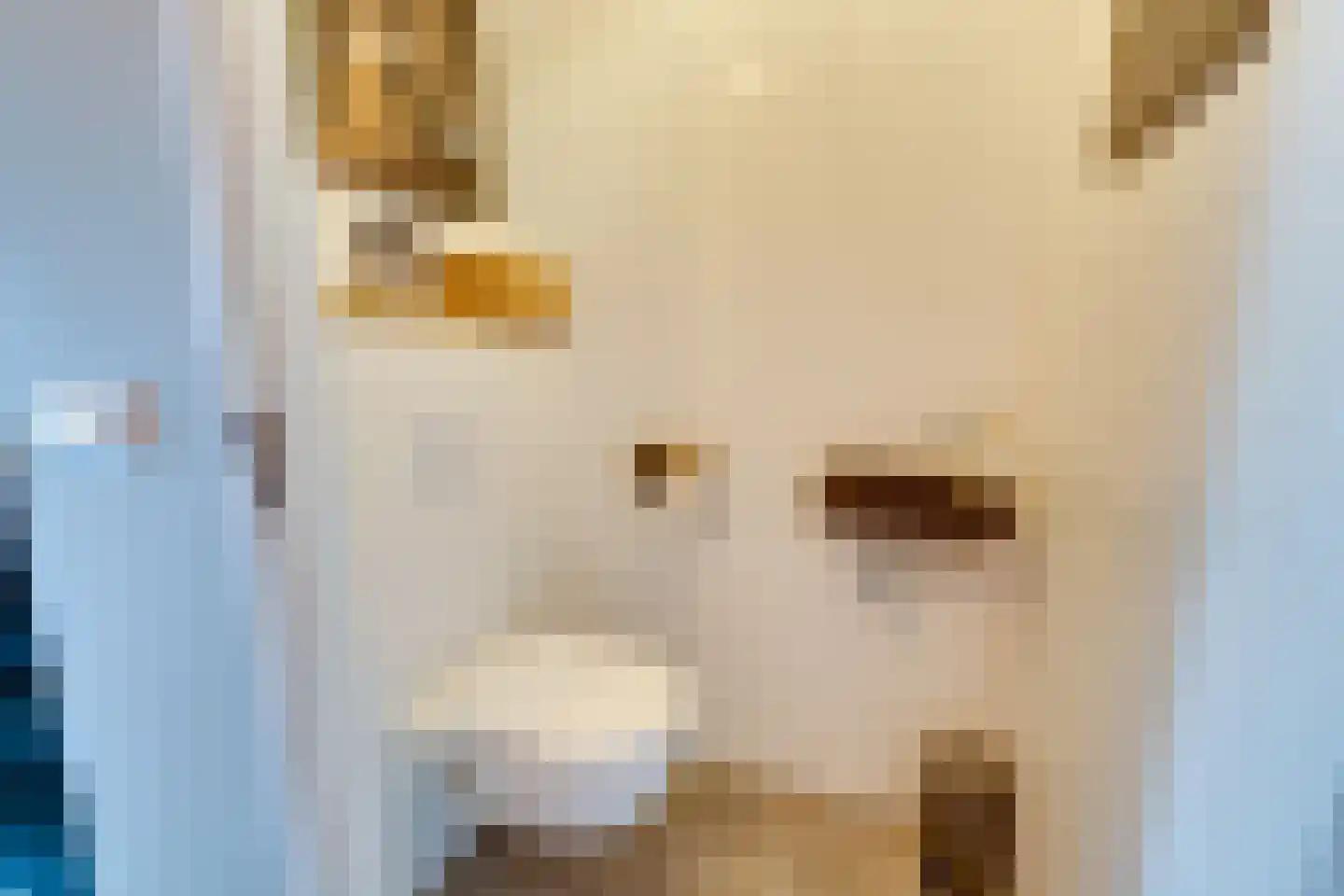 De Onderneming 10 Nibbixwoud thumbnail 36