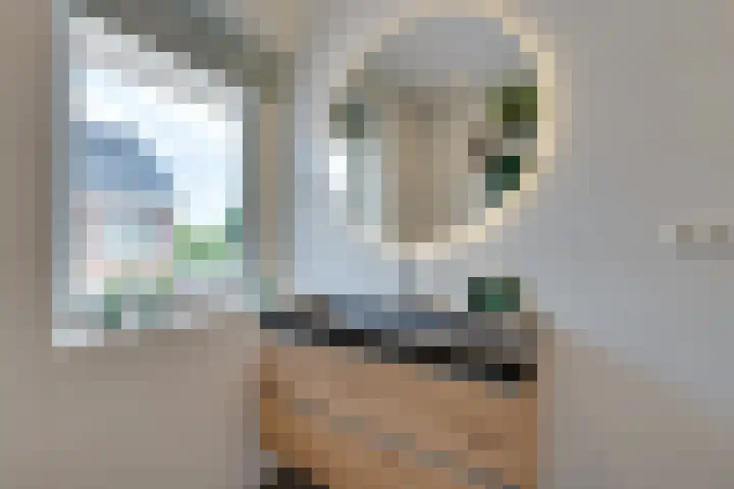 De Onderneming 10 Nibbixwoud thumbnail 48