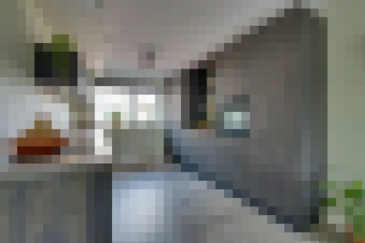 De Onderneming 10 Nibbixwoud thumbnail 5