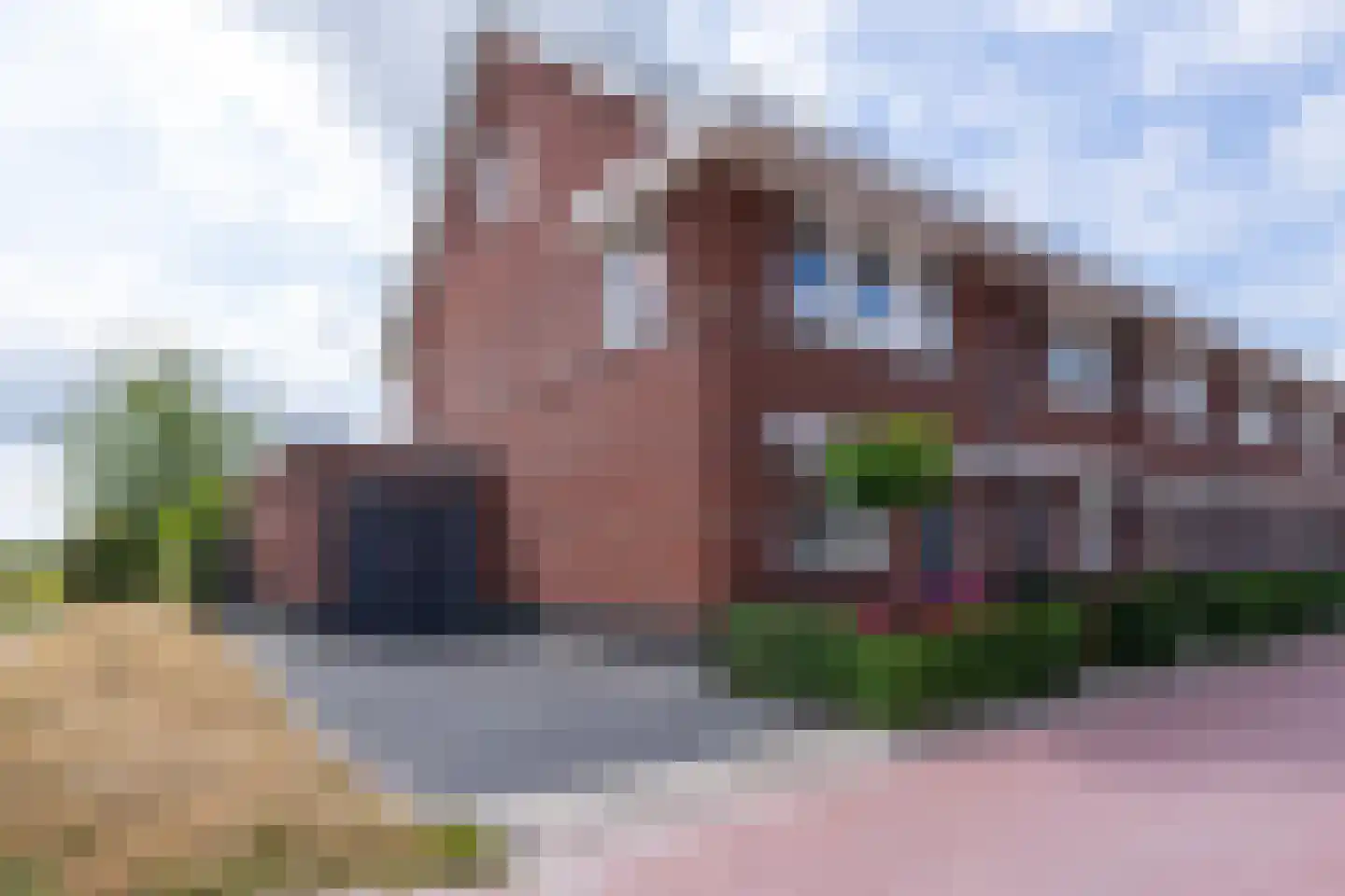 De Onderneming 10 Nibbixwoud thumbnail 8