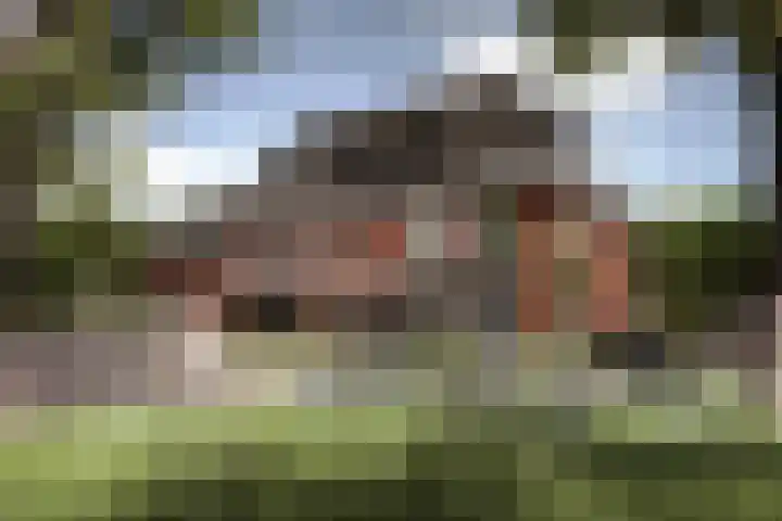 De Onderneming 34 Nibbixwoud
