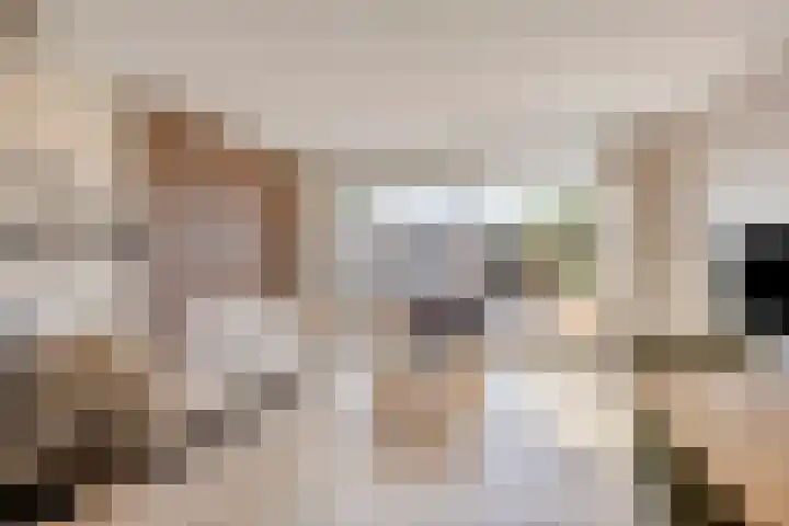 De Onderneming 4 Nibbixwoud thumbnail 11