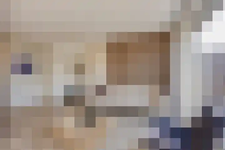 De Onderneming 4 Nibbixwoud thumbnail 12