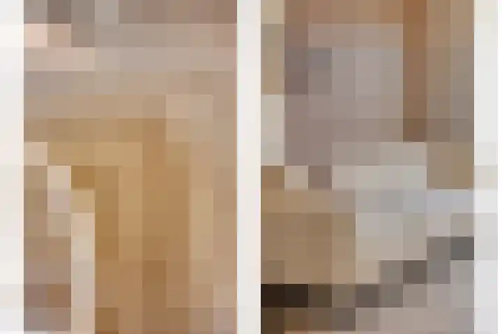 De Onderneming 4 Nibbixwoud thumbnail 13