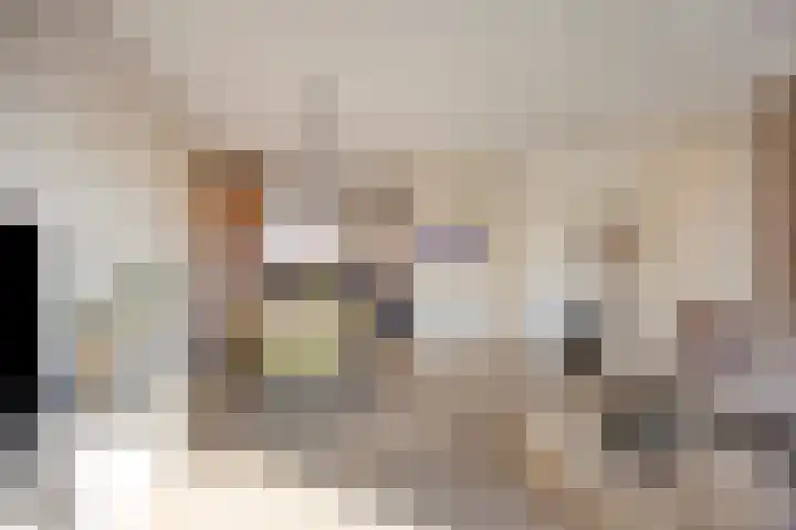 De Onderneming 4 Nibbixwoud thumbnail 14