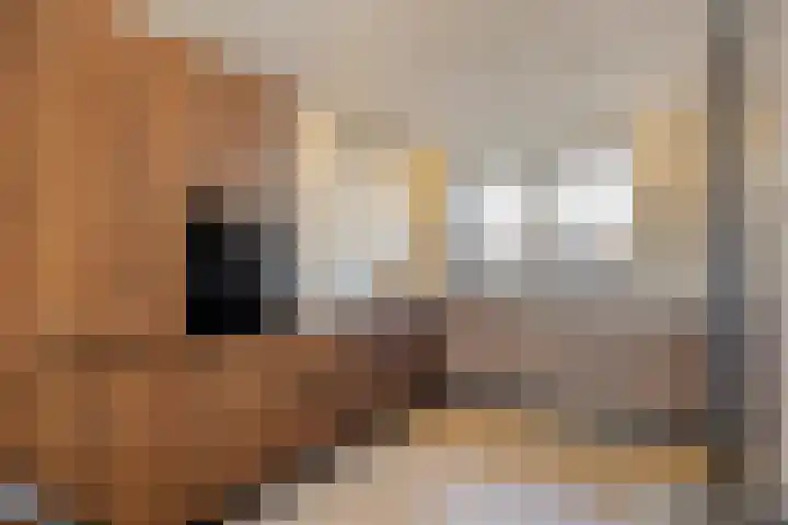 De Onderneming 4 Nibbixwoud thumbnail 17