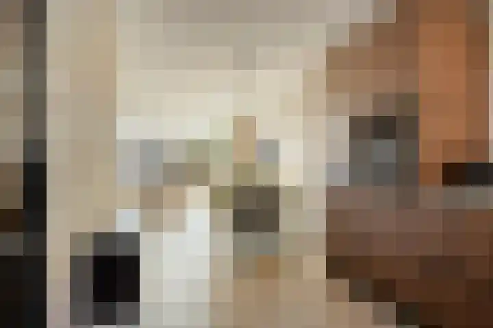 De Onderneming 4 Nibbixwoud thumbnail 18