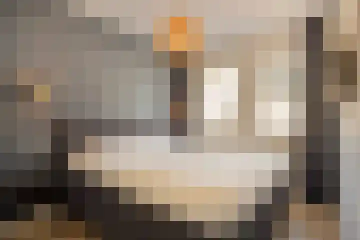 De Onderneming 4 Nibbixwoud thumbnail 21