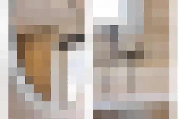 De Onderneming 4 Nibbixwoud thumbnail 24