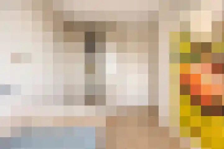 De Onderneming 4 Nibbixwoud thumbnail 26