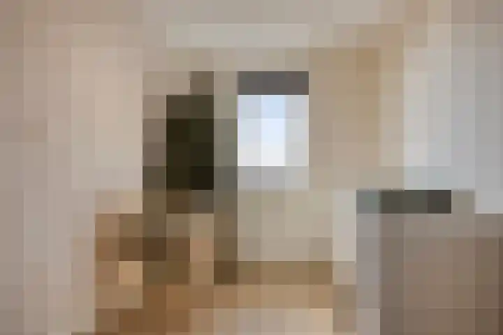 De Onderneming 4 Nibbixwoud thumbnail 27