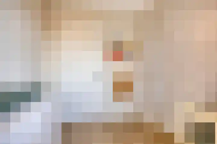 De Onderneming 4 Nibbixwoud thumbnail 28