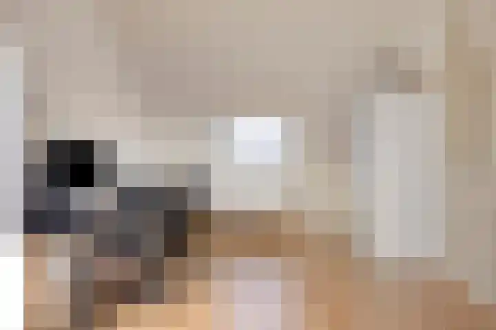 De Onderneming 4 Nibbixwoud thumbnail 29