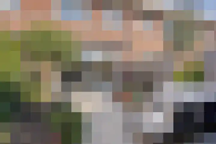 De Onderneming 4 Nibbixwoud thumbnail 32