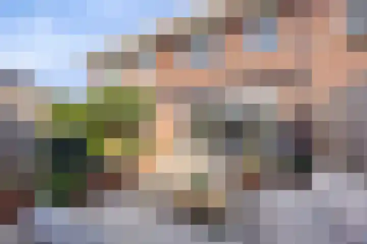 De Onderneming 4 Nibbixwoud thumbnail 34