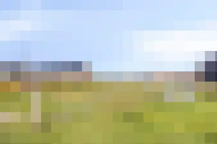 De Onderneming 4 Nibbixwoud thumbnail 36