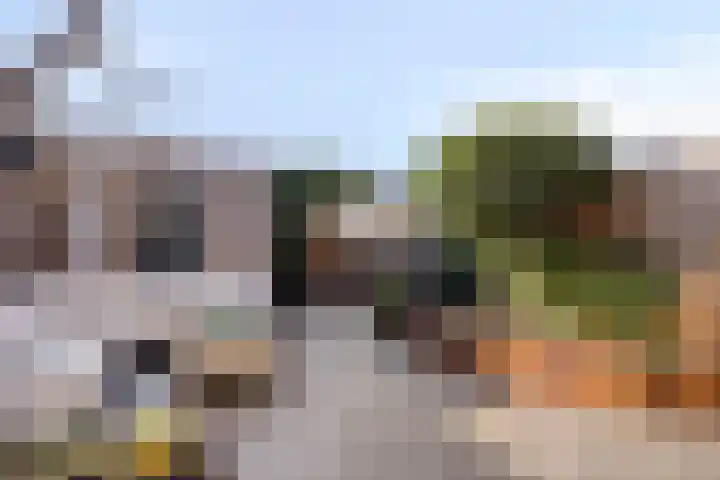 De Onderneming 4 Nibbixwoud thumbnail 4