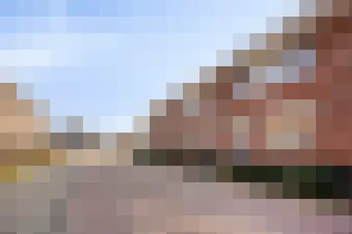 De Onderneming 4 Nibbixwoud thumbnail 6
