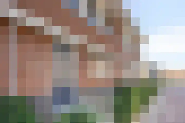 De Onderneming 4 Nibbixwoud thumbnail 7