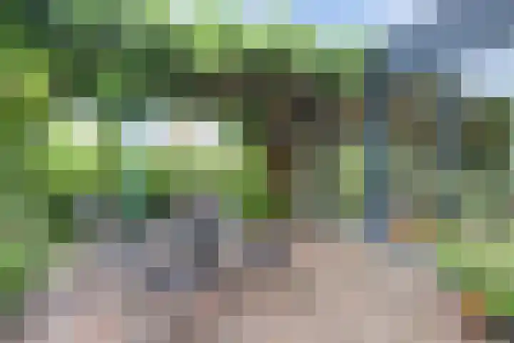 De Ontdekking 24 Amersfoort thumbnail 20
