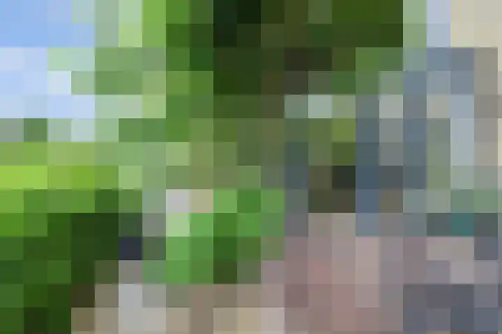 De Ontdekking 24 Amersfoort thumbnail 22