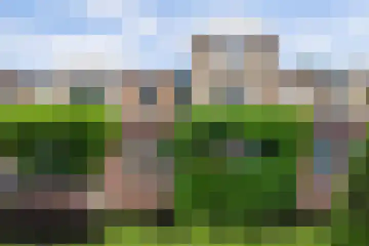 De Ontdekking 24 Amersfoort thumbnail 24