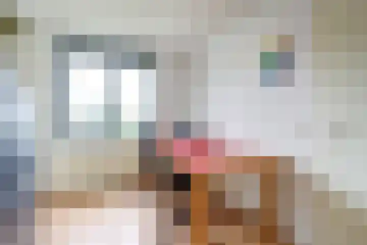 De Ontdekking 24 Amersfoort thumbnail 30