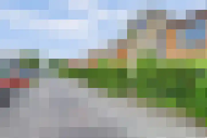 De Ontdekking 24 Amersfoort thumbnail 38