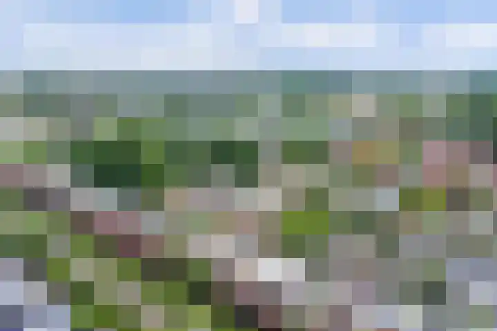 De Ontdekking 24 Amersfoort thumbnail 40