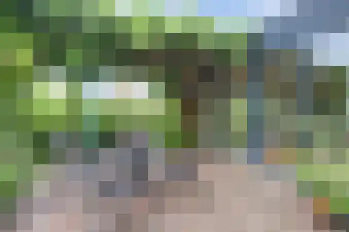 De Ontdekking 24 Amersfoort thumbnail 5